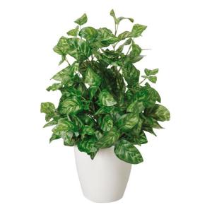 光の楽園（光触媒人工植物 テーブルタイプ） ピーコック