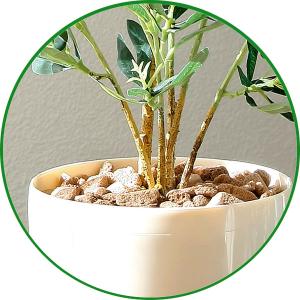 フェイクグリーン 人工観葉植物 インテリア 光...の詳細画像3
