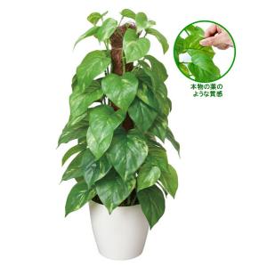 フェイクグリーン 人工観葉植物 インテリア 光...の詳細画像1