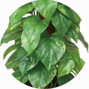 フェイクグリーン 人工観葉植物 インテリア 光...の詳細画像3