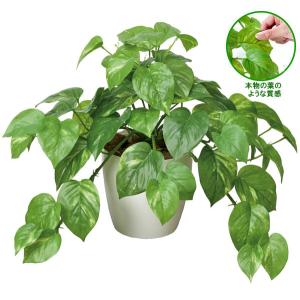 ハギハラ 人工観葉植物 レッドグラス #1791F (M/107cm) [人工植物 造花