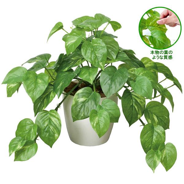 フェイクグリーン 人工観葉植物 インテリア 光触媒 観葉植物 フレッシュポトスＭ  リアル おしゃれ...