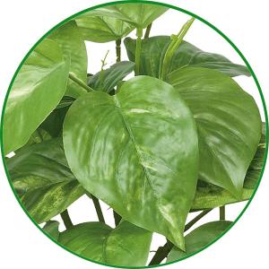 フェイクグリーン 人工観葉植物 インテリア 光...の詳細画像2