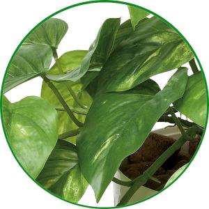 フェイクグリーン 人工観葉植物 インテリア 光...の詳細画像3