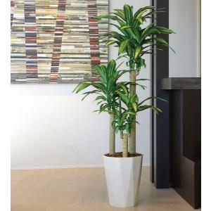 光触媒　人工観葉植物　フェイクグリーン　マウンテンアッシュ1.6m 光触媒 光の楽園マウンテンアッシュ 高さ 1.6m【インテリア フェイク