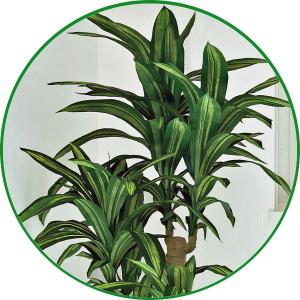 人工観葉植物 大型 フェイクグリーン 光触媒 ...の詳細画像2