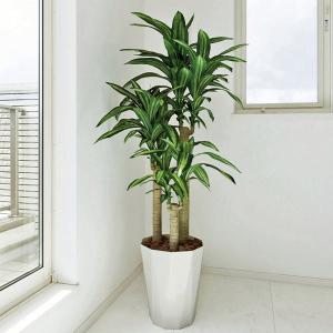 人工観葉植物 大型 フェイクグリーン 光触媒 ...の詳細画像1