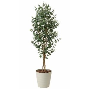 人工観葉植物 大型 フェイクグリーン 光触媒 観...の商品画像