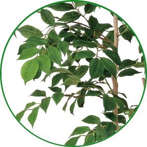 人工観葉植物 大型 フェイクグリーン 光触媒 ...の詳細画像1
