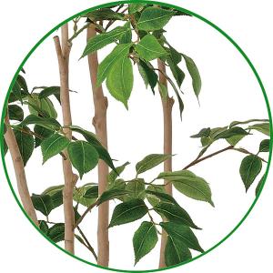 人工観葉植物 大型 フェイクグリーン 光触媒 ...の詳細画像2