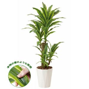 光触媒　人工観葉植物　フェイクグリーン　トールキングスタンド1.4 光触媒 人工観葉植物 フェイクグリーン トールキングスタンド1.4
