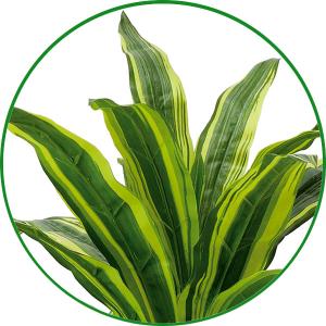 フェイクグリーン 人工観葉植物 インテリア 光...の詳細画像2