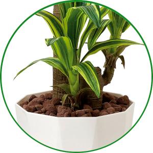 フェイクグリーン 人工観葉植物 インテリア 光...の詳細画像5