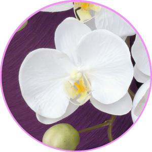 造花 お供え 胡蝶蘭 光触媒 仏花 法事等 お...の詳細画像2
