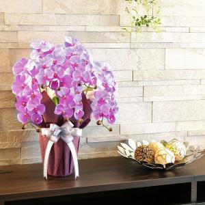 光触媒 胡蝶蘭(造花の胡蝶蘭) エレガント胡蝶...の詳細画像2