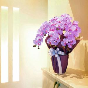 光触媒 胡蝶蘭(造花の胡蝶蘭) エレガント胡蝶...の詳細画像1