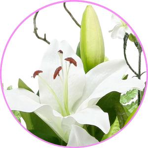 アートフラワー 造花 インテリア 光触媒 造花...の詳細画像1