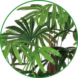 和風 人工観葉植物 大型 フェイクグリーン 光...の詳細画像1