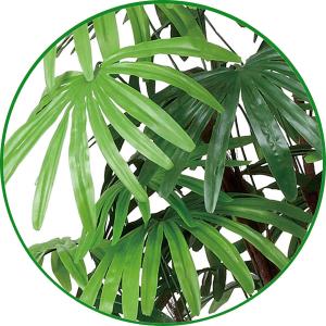 和風 人工観葉植物 大型 フェイクグリーン 光...の詳細画像2
