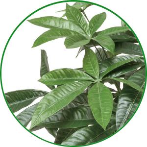 人工観葉植物 フェイクグリーン 光触媒 観葉植...の詳細画像2