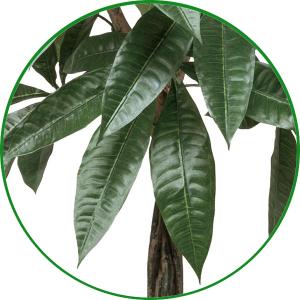 人工観葉植物 フェイクグリーン 光触媒 観葉植...の詳細画像4