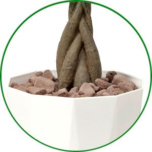 人工観葉植物 フェイクグリーン 光触媒 観葉植...の詳細画像5