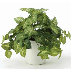 フェイクグリーン 人工観葉植物 インテリア 光触媒 観葉植物 パピルス