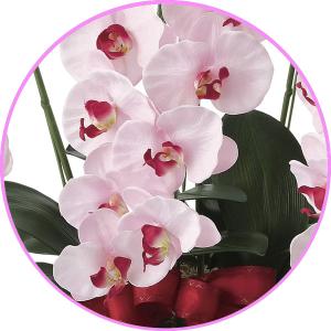 光触媒 胡蝶蘭 造花の胡蝶蘭 高級 プレミアム...の詳細画像2