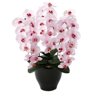 光触媒胡蝶蘭 造花の胡蝶蘭 造花光の楽園プレミアム胡蝶蘭ｐ 胡蝶蘭 造花 660a125 57k 光の楽園ショップモントブレッテ