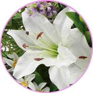 アートフラワー 造花 インテリア 光触媒 造花...の詳細画像2