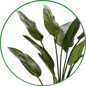 光触媒 観葉植物 フェイクグリーン 人工観葉植...の詳細画像4
