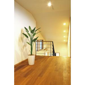 光触媒 観葉植物 フェイクグリーン 人工観葉植...の詳細画像3