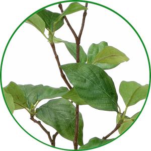 人工観葉植物 フェイクグリーン 光触媒 観葉植...の詳細画像2
