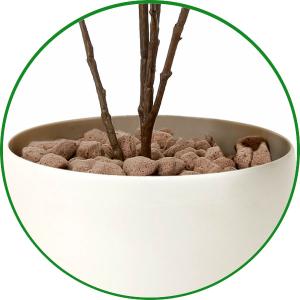 人工観葉植物 フェイクグリーン 光触媒 観葉植...の詳細画像5