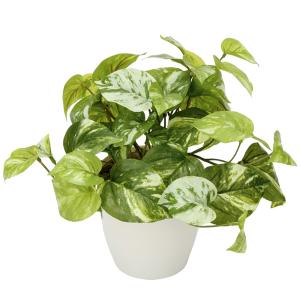 フェイクグリーン 人工観葉植物 インテリア 光...の詳細画像1