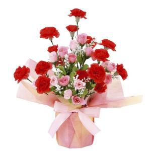 アートフラワー 造花 光触媒フラワー かわいい 母の日 花 ギフト 光の楽園　カーネーションＭ あすつく・条件付