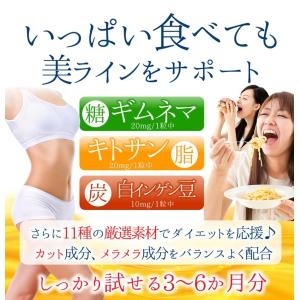 ギムネマ キトサン 白いんげん豆 サプリ 最大...の詳細画像3