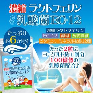 濃縮ラクトフェリン＆乳酸菌EC-12 360粒 約6か月分 送料無料（ヤマトネコポス・ポスト投函・日時指定不可）サプリメント｜monte-lab