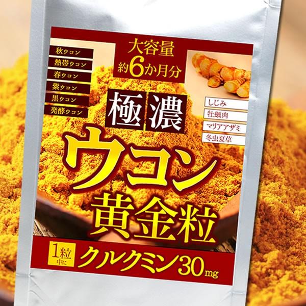 ウコン 極濃ウコン 黄金粒 約6か月分 送料無料（ヤマトネコポス・ポスト投函・日時指定不可）サプリメ...