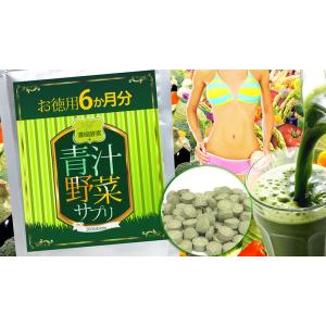 (大容量/約6ヵ月分) 濃縮酵素+青汁野菜サプ...の詳細画像1