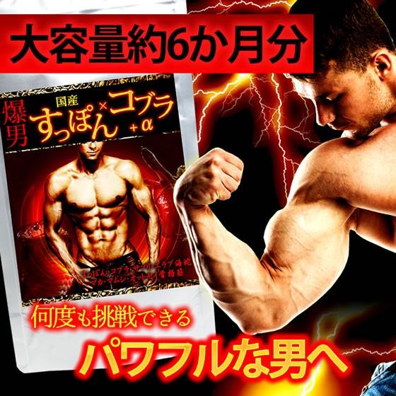 国産 すっぽん コブラ サプリ 約6か月 360粒 スッポン サソリ エラブ海蛇 マカ マムシ 男性...