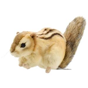 リス ぬいぐるみ リアルの商品一覧 通販 Yahoo ショッピング