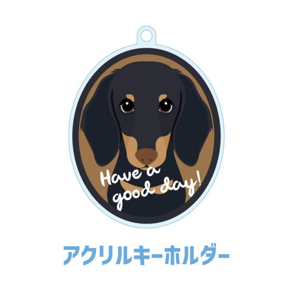 ミニチュアダックスフンド かわいい キーホルダー アクリル 犬 イヌ グッズ オリジナルイラスト プ...