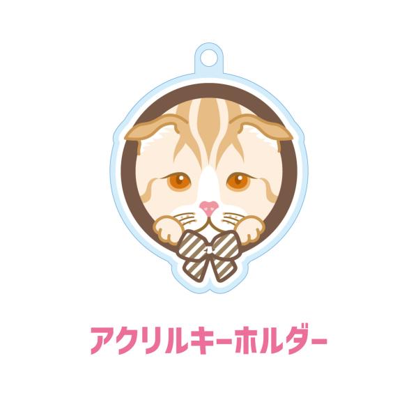 スコティッシュフォールド かわいい キーホルダー 猫 ネコ アクリル グッズ オリジナルイラスト プ...