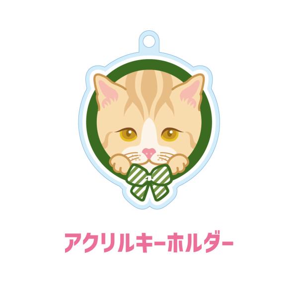 マンチカン かわいい キーホルダー 猫 ネコ アクリル グッズ オリジナルイラスト プレゼント 贈り...