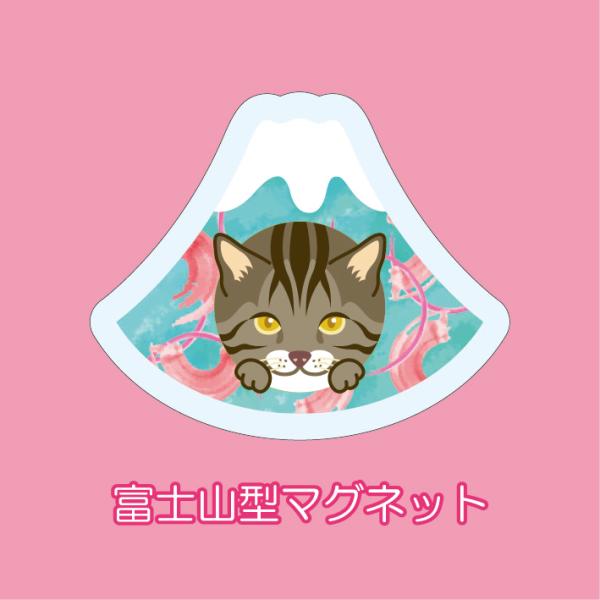 マグネット アクリル キジトラ 静岡 みかん 桜海老 かわいい 磁石 雑貨 猫 ホワイトボード 冷蔵...