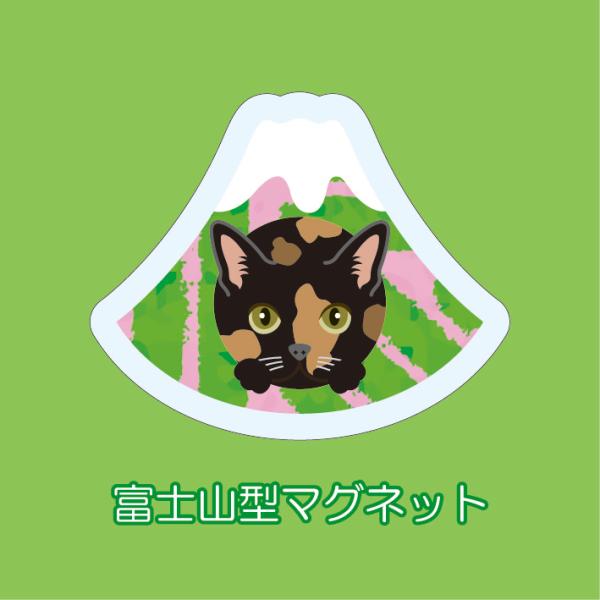 マグネット アクリル サビ 静岡 茶畑 かわいい 磁石 雑貨 猫 ホワイトボード 冷蔵庫