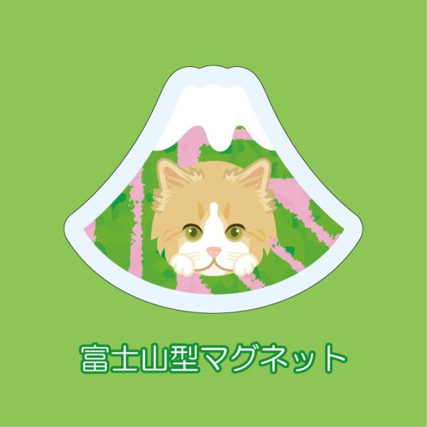 マグネット アクリル ラガマフィン 静岡 三保 桜海老 かわいい 磁石 雑貨 猫 ホワイトボード 冷...