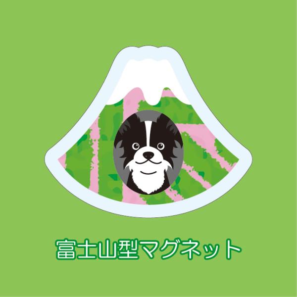 マグネット アクリル ボーダーコリー 静岡 三保 茶畑 かわいい 磁石 雑貨 犬 ホワイトボード 冷...