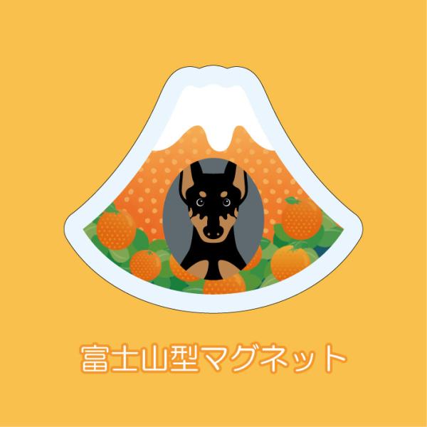 マグネット アクリル ドーベルマン 静岡 みかん かわいい 磁石 雑貨 犬 ホワイトボード 冷蔵庫